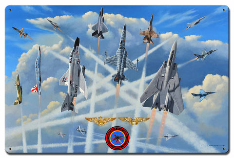 Aircraft of the NFWS 24 X 16 vintage metal sign Metal Sign