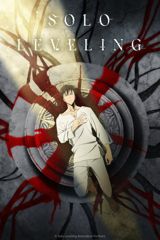 Solo Leveling -ReAwakening- Style B Movie Poster 11 x 17 inch