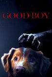 Good Boy Style C Movie Poster 27 x 40 inch