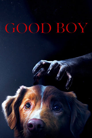 Good Boy Style C Movie Poster 11 x 17 inch
