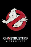 Ghostbusters: Afterlife Style C Movie Poster 11 x 17 inch