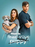 How to Train Your Husband Style C Movie Poster 27 x 40 inch
