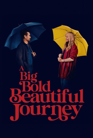 A Big Bold Beautiful Journey Style E Movie Poster 11 x 17 inch