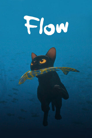 Flow Style D Movie Poster 11 x 17 inch