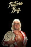 Nature Boy Style B Movie Poster 11 x 17 inch