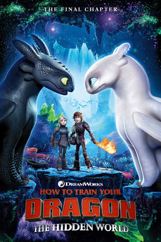 How to Train Your Dragon: The Hidden World Style D Movie Poster 27 x 40 inch