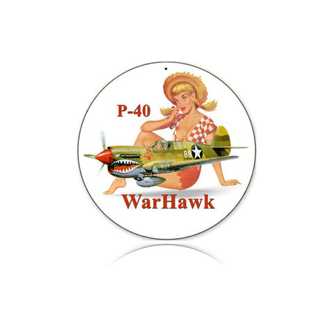 P-40 Warhawk Vintage Sign Metal Sign