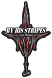 VHR071   By His Stripes Metal Sign