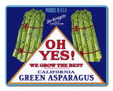 Oh Yes Asparagus Vintage Metal Sign Metal Sign