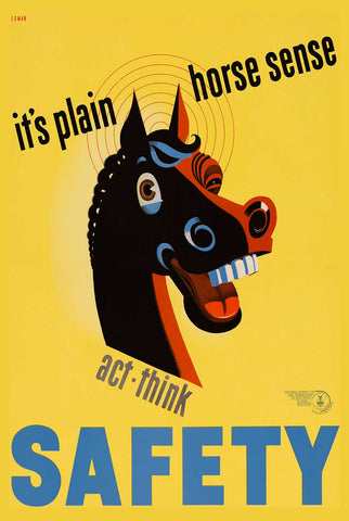 Plain Horse Sense Vintage Metal Sign Metal Sign