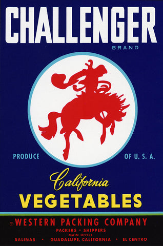 Challenger Vintage Metal Sign Metal Sign