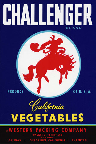 Challenger Vintage Metal Sign Metal Sign