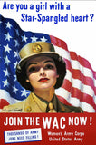 Join The Wac Now Vintage Metal Sign Metal Sign