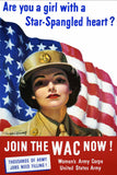 Join The Wac Now Vintage Metal Sign Metal Sign