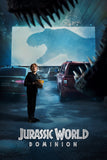 Jurassic World Dominion Style D Movie Poster 27 x 40 inch