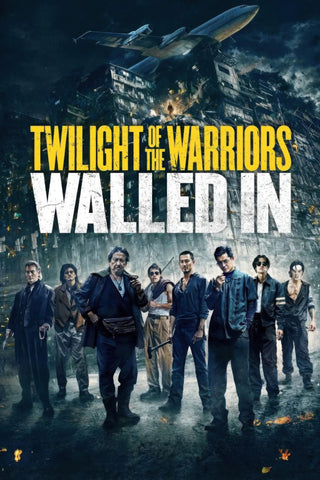 Twilight of the Warriors: Walled In Style E Movie Poster 11 x 17 inch