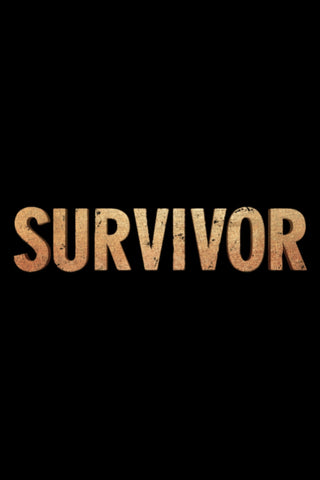 Survivor Style: 2 - 27 x 40 inch. TV Show Poster