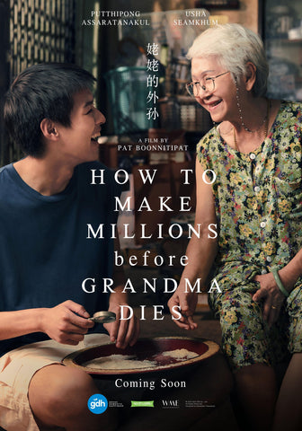 How to Make Millions Before Grandma Dies Style D Movie Poster 27 x 40 inch