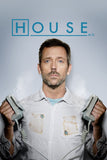 House Style: 2 - 11 x 17 inch. TV Show Poster