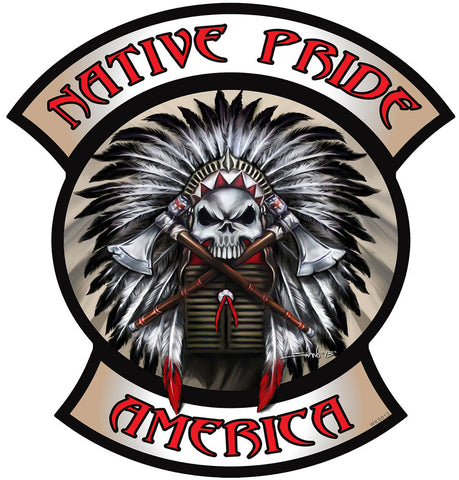 Native Pride Indian Skull Metal Sign