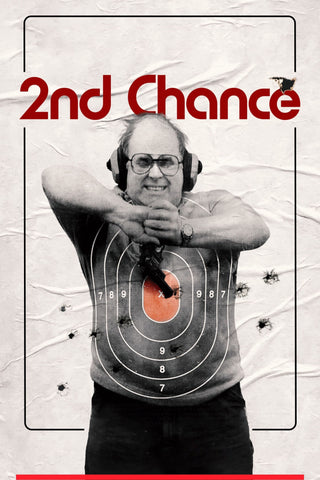 2nd Chance Style C Movie Poster 11 x 17 inch