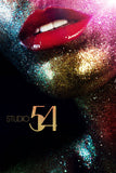 Studio 54 Style A Movie Poster 11 x 17 inch