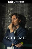 Steve Style C Movie Poster 27 x 40 inch