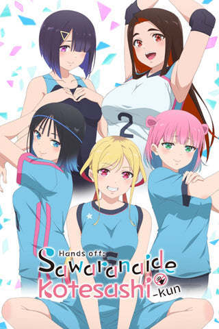 Hands off: Sawaranaide Kotesashi-kun Style: 2 - 11 x 17 inch. TV Show Poster