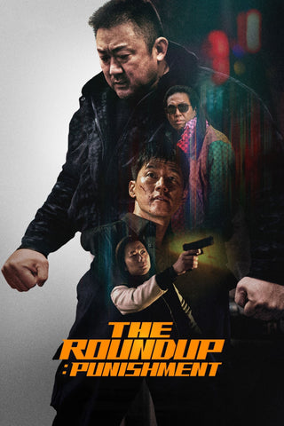 The Roundup: Punishment Style A Movie Poster 27 x 40 inch