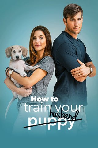 How to Train Your Husband Style A Movie Poster 11 x 17 inch