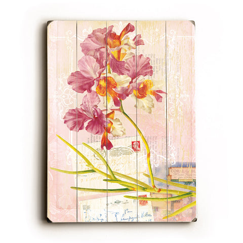 Pink Orchid - Wood Wall Decor by Cory Steffen 12 X 16