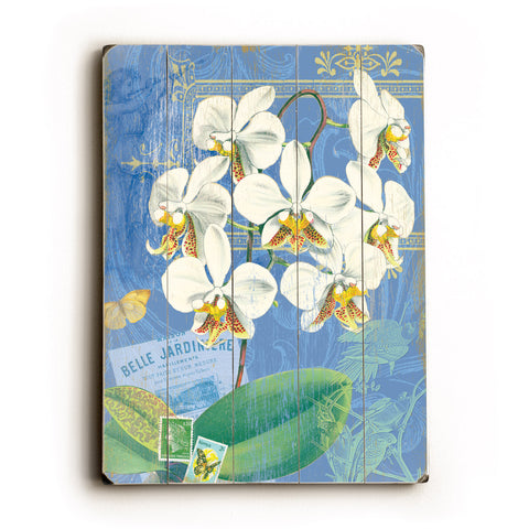 White Orchid - Wood Wall Decor by Cory Steffen 12 X 16
