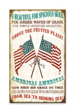 America the Beautiful Generic Wood 18x30