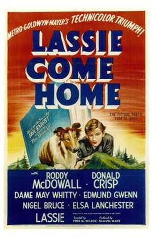 Lassie Come Home Movie Poster Print