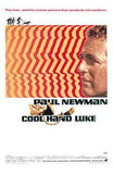 Cool Hand Luke Movie Poster Print