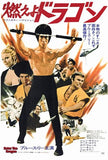 Enter the Dragon Movie Poster Print
