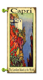 Carpi, Home on a Cliff Metal 14x36