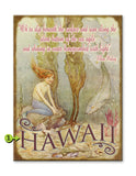 Mermaid and Fish Conversation Wood 23x31