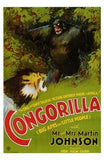 Congorilla Big Apes and Little People Movie Poster Print