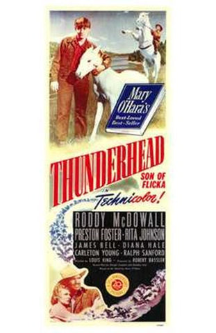 Thunderhead - Son of Flicka Movie Poster Print