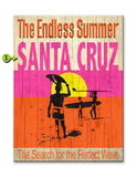 Endless Summer Search for the Perfect Wave Wood 23x31