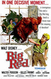Big Red Movie Poster Print