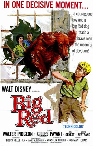 Big Red Movie Poster Print
