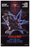 Enter the Ninja Movie Poster Print