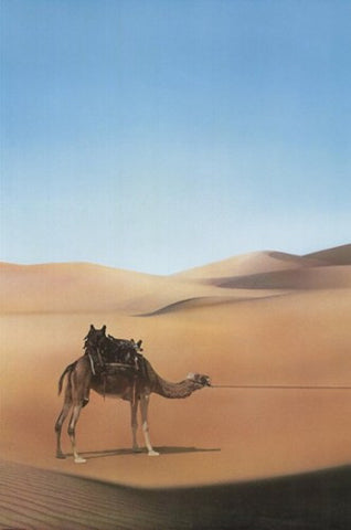 Ishtar Movie Poster Print