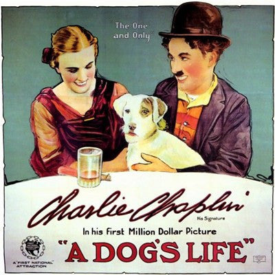 Dog's Life  a Movie Poster Print