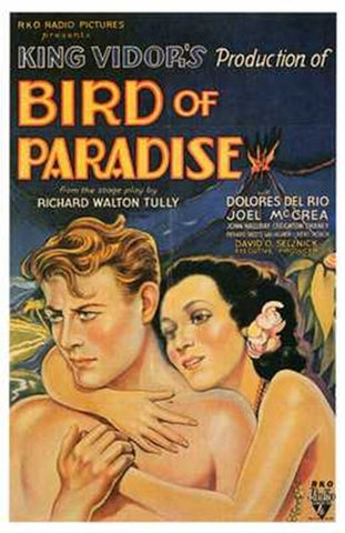 Bird of Paradise Movie Poster Print