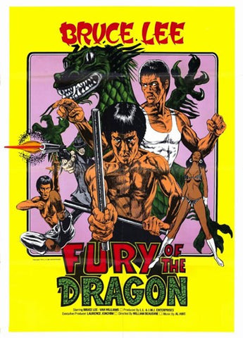 Fury of the Dragon Movie Poster Print