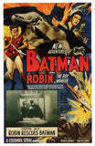 Batman and Robin Movie Poster Print
