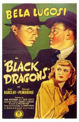 Black Dragons Movie Poster Print